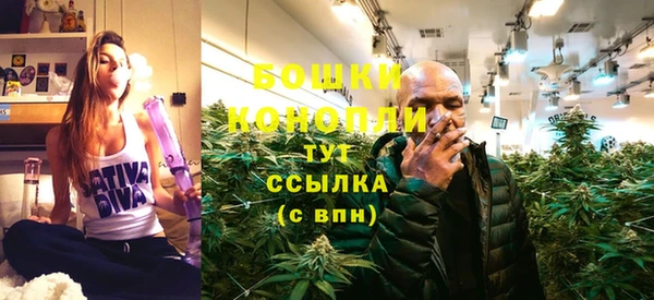 гашик Белоозёрский