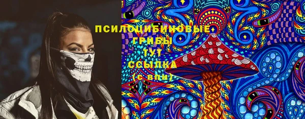 гашик Белоозёрский
