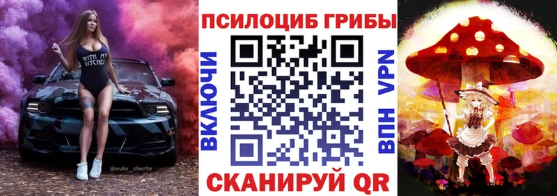 купить наркотики цена  Велиж  Псилоцибиновые грибы GOLDEN TEACHER 