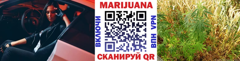 Каннабис сатива  Велиж 